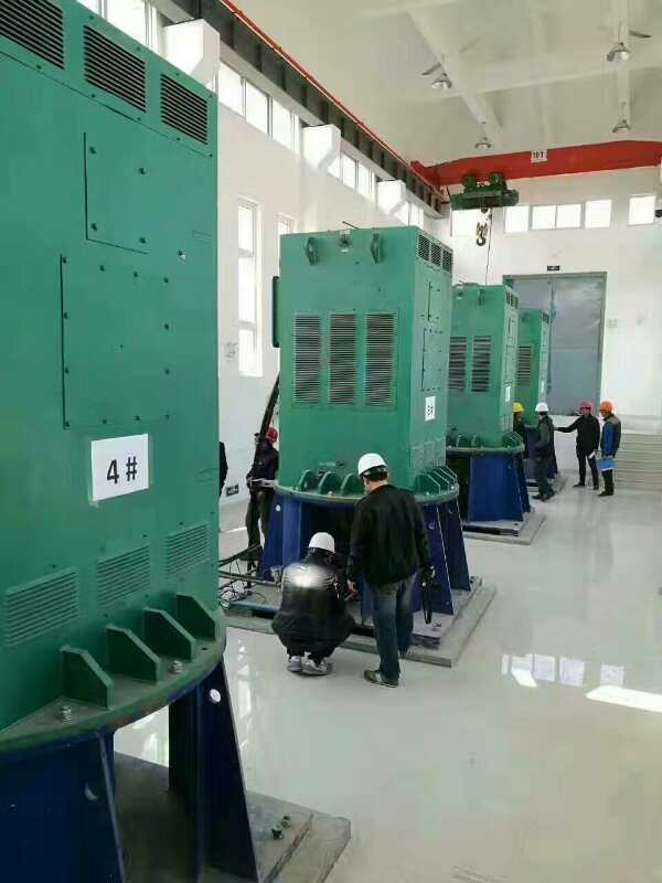 瓯海某污水处理厂使用我厂的立式高压电机安装现场