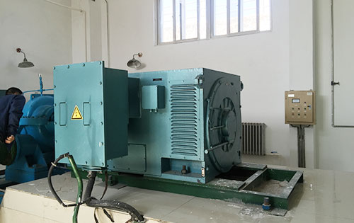 瓯海某水电站工程主水泵使用我公司高压电机