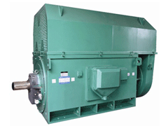 瓯海Y系列6KV高压电机